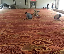 滿鋪地毯生產基地
